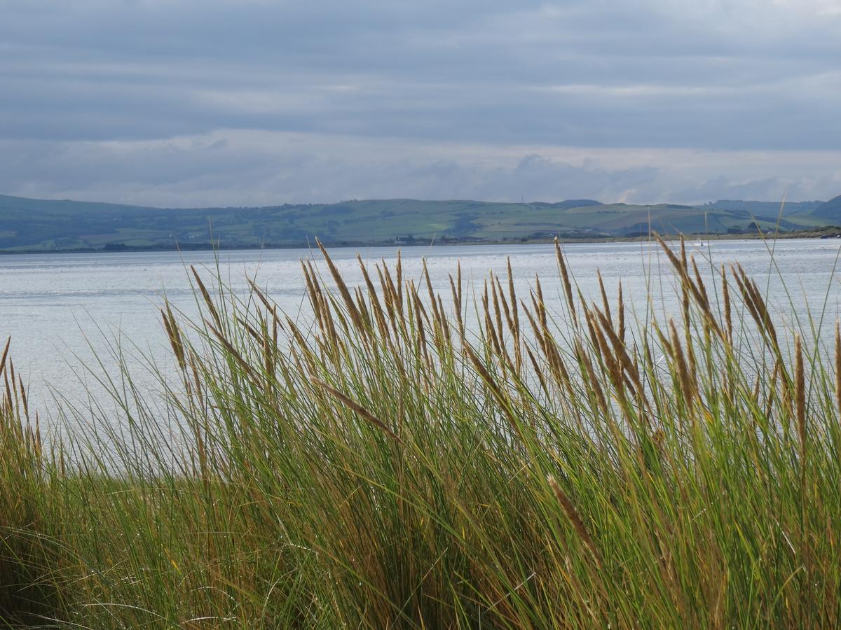 Bed and Breakfast Awel Y Mor Aberdyfi Esterno foto